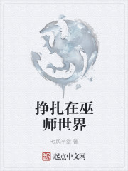 挣扎在巫师世界